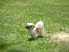 hanging out in the yard
