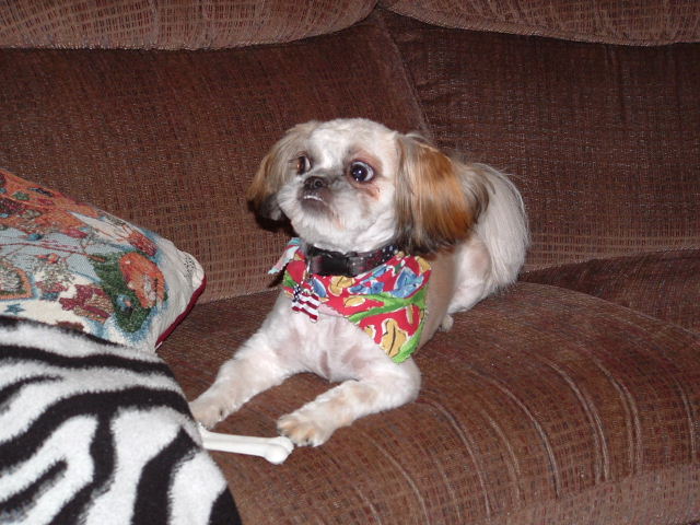 Lucky likes to pose for his picture!!