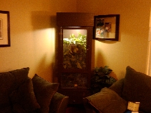 Blaze custom cage finished