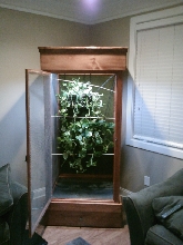 Chameleon Cage