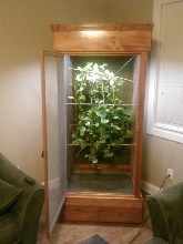 New chemeleon cage