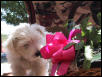 Take time to smell the flowers !!