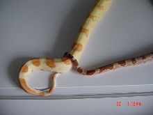 And Last But Not Least, Holdin On Tight