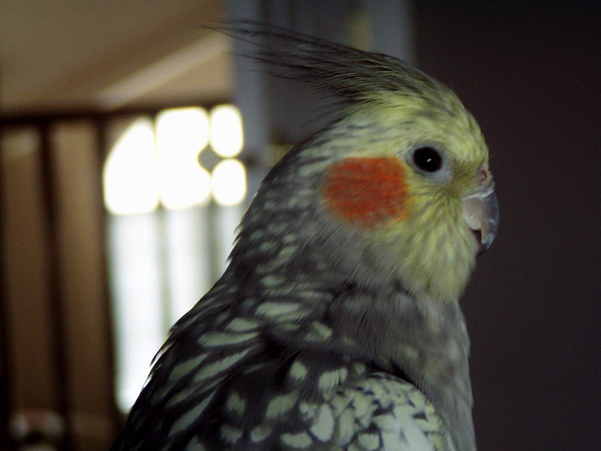 WHAT A SIDE PROFILE !!!
