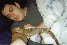 Black Throat Monitor in Bed