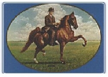 My My Saddlebred