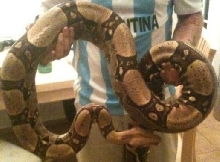 big mama jungle