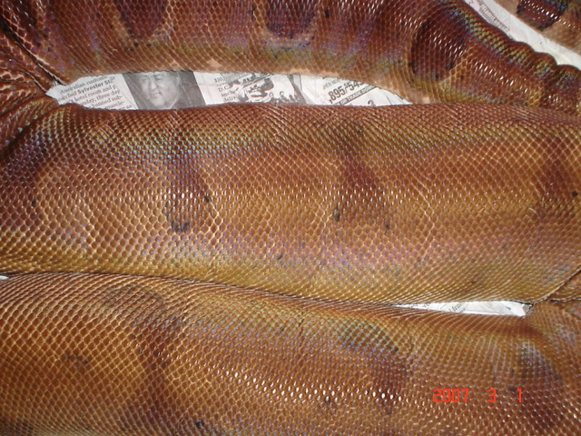 swellinghypo