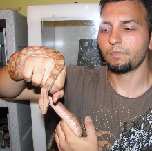 HYTECMALE2