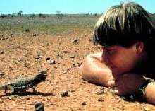STEVE IRWIN in love