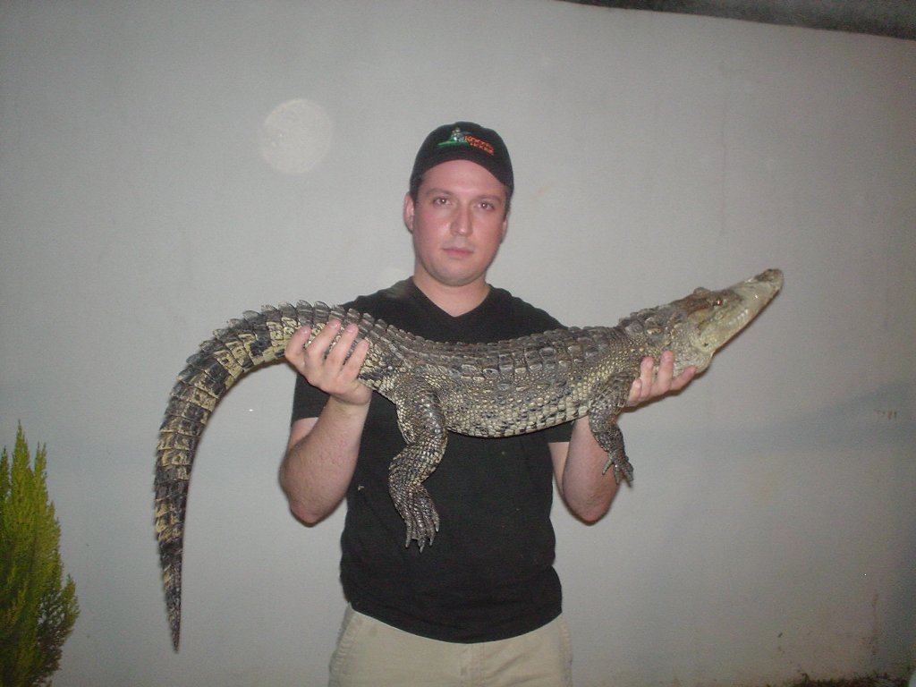 NOT MINE, BUT ITS A GREAT MORELET