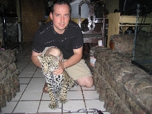 Leopard