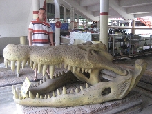 CROC2