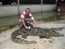 CROC1