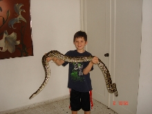 NEPHEW