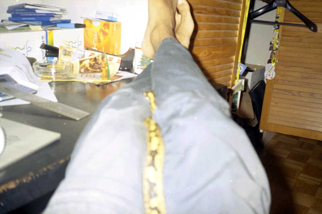 Kaa having a walk
