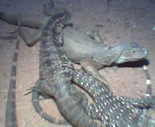 Another