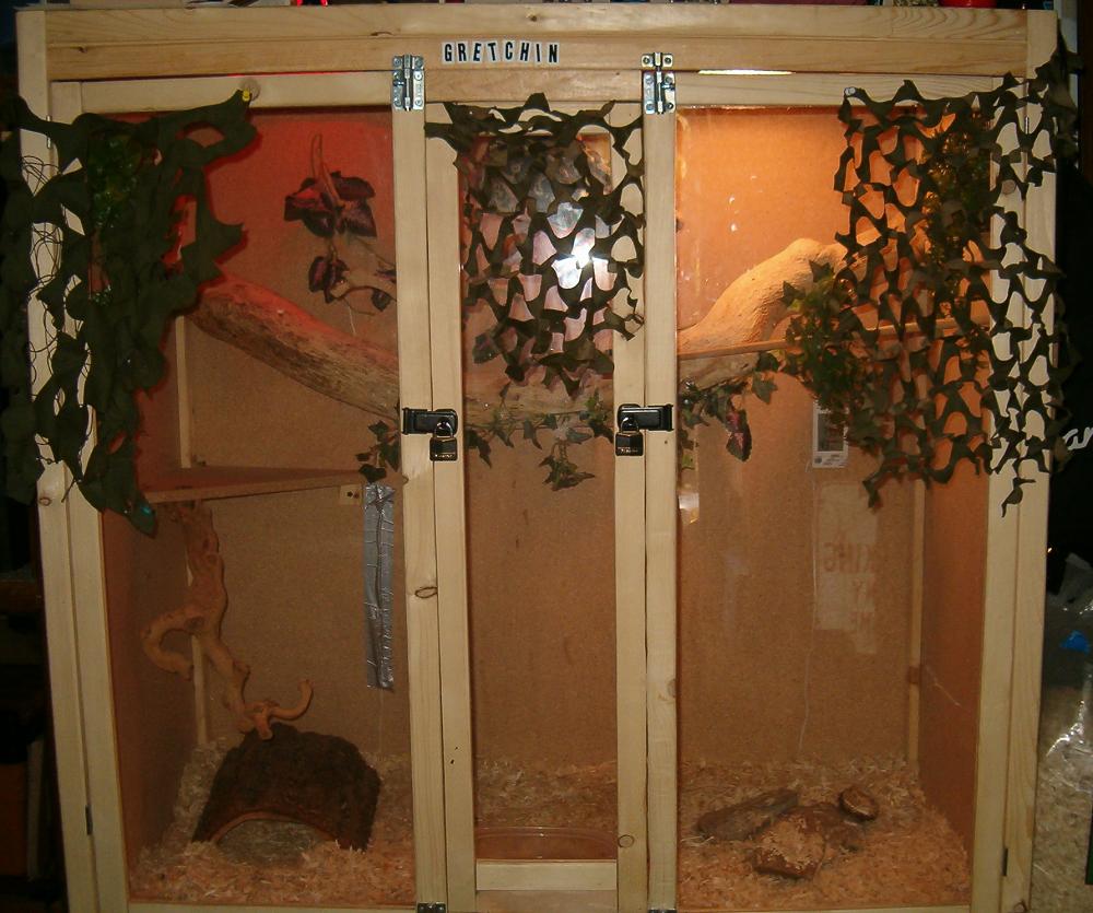 My JCP's cage