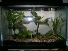 stucks tank