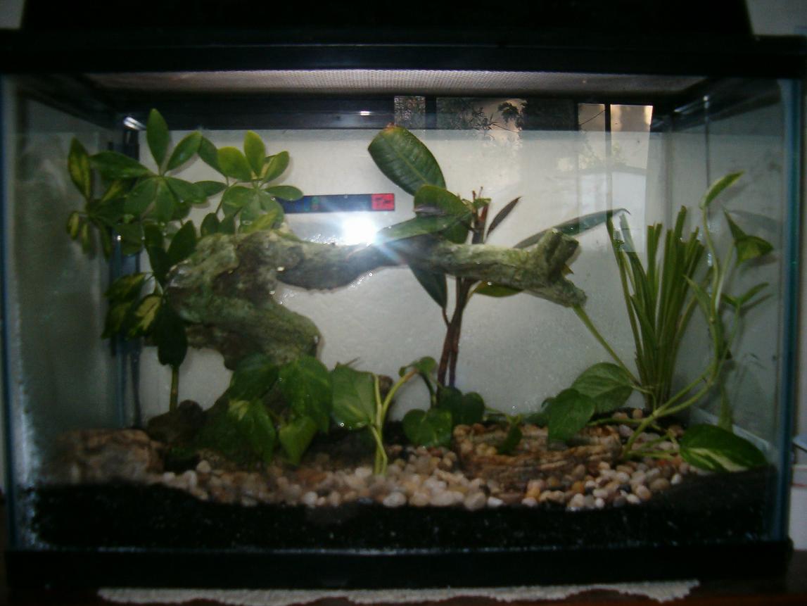 stucks tank