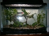 and another shot of stucks tank