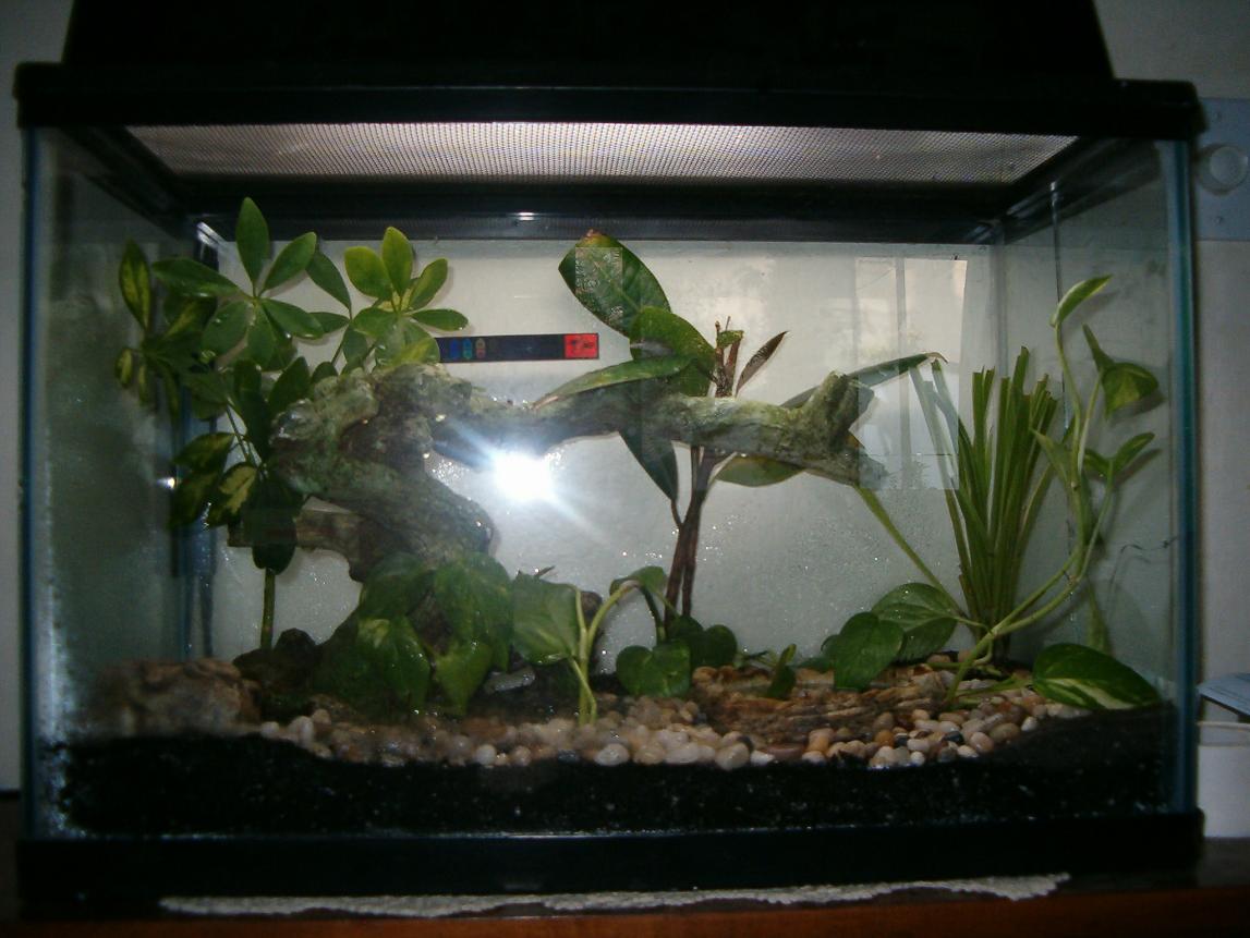 and another shot of stucks tank