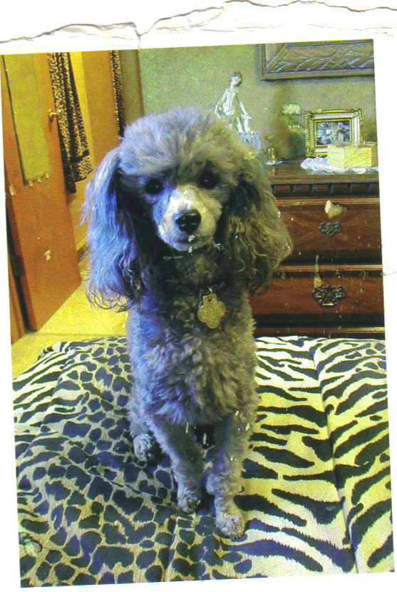Bruno