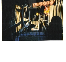 Precious Memorys