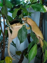 hanging around