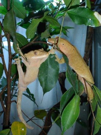 hanging around