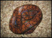 female brb