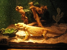 and this is my 1 year old baby