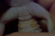 male????