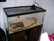 Otis Cage