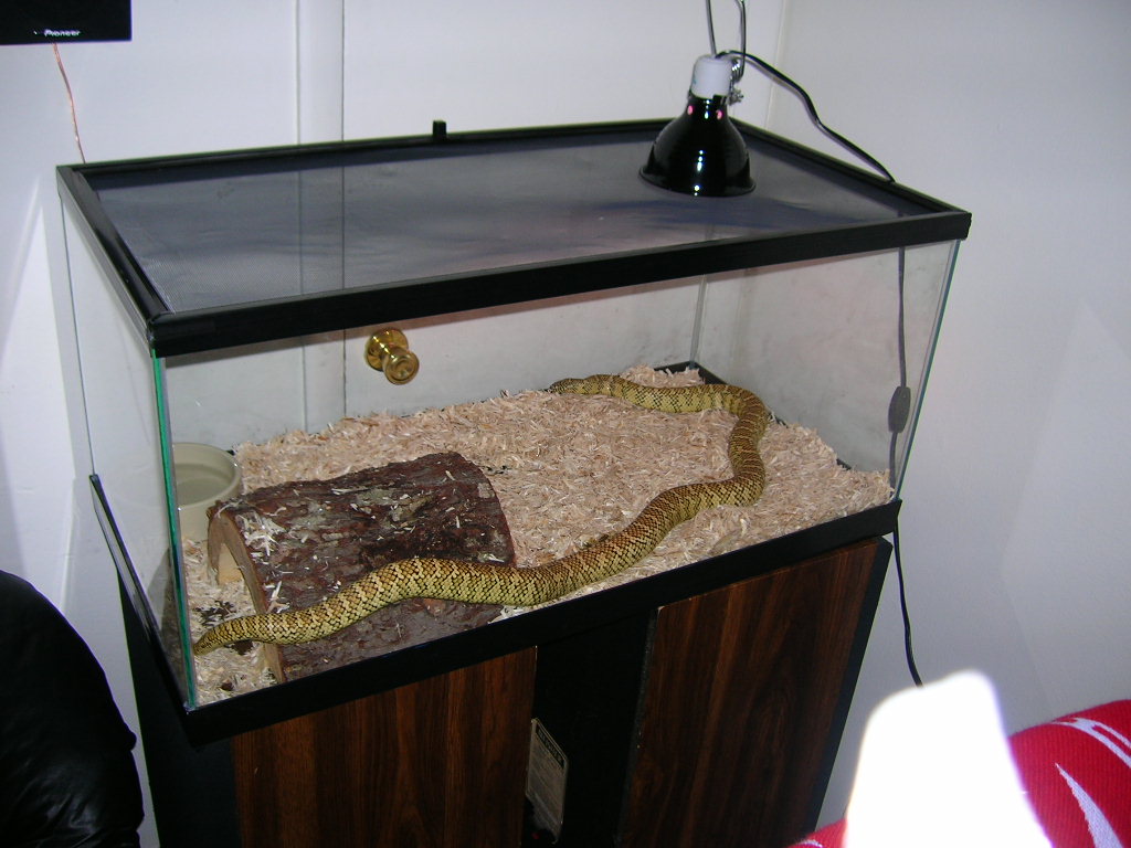 Otis Cage