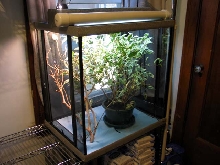 baby cham setup