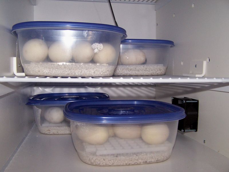 Full Incubator