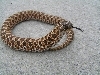 red phase female western Hognose