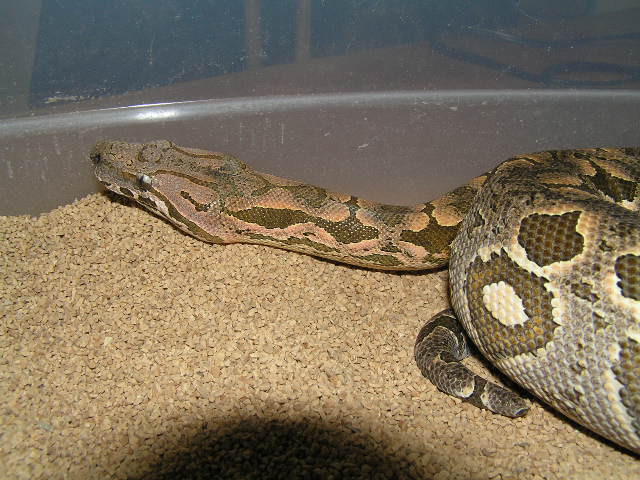 Another pic