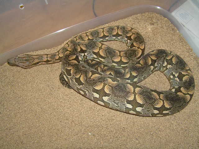 Another pic