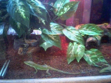 Mixed tank