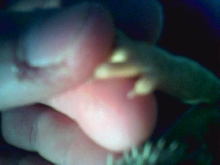 Clear nails on a snow x hypo pastel.