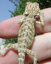 nice male.