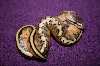 Pastel G-Stripe