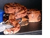 Pastel Male1