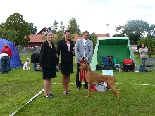 Farao Anubis Ikaros BIS in HögboBruk