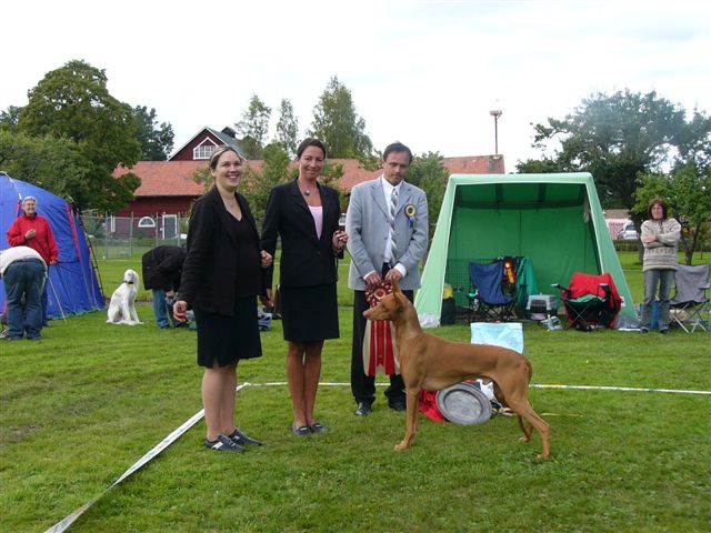 Farao Anubis Ikaros BIS in HögboBruk