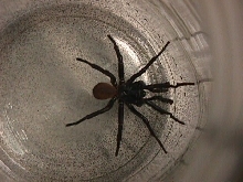 What is this?