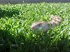 Kamryn outside