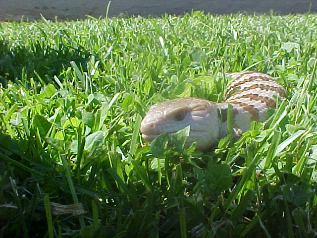 Kamryn outside